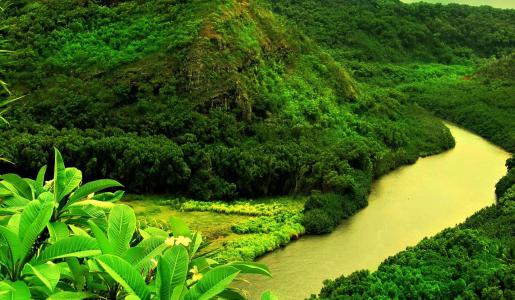 STRATEGIC PLANNING STRATEGIC PLANNING