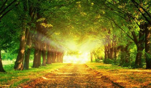 INTERNATIONAL BUSINESS INTERNATIONAL BUSINESS