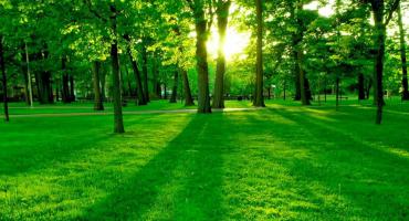 QUIS AUTEM VEL EUM IUREHENDE