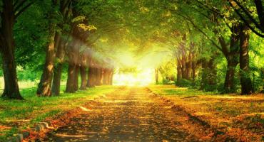 QUIS AUTEM VEL EUM IUREHENDE