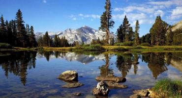 QUIS AUTEM VEL EUM IUREHENDE